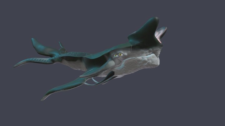 Baleia 3D models - Sketchfab