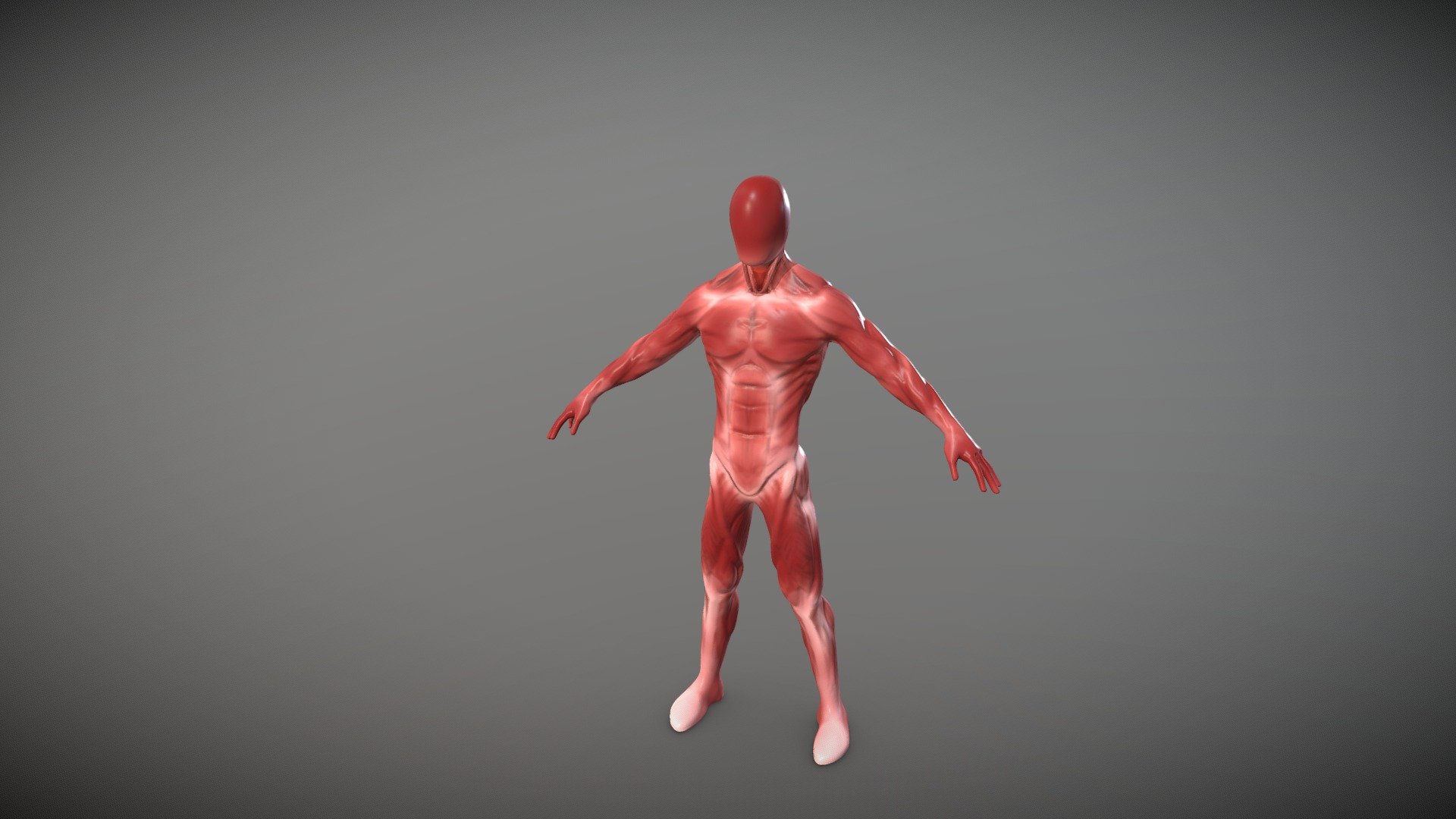 2283 MONARD Cédric - Anatomie