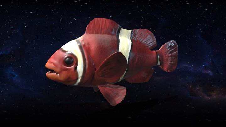 orange_clownfish 3D Model