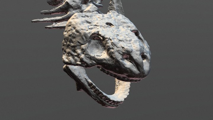 Pareiasaurus Fossil 3D Model