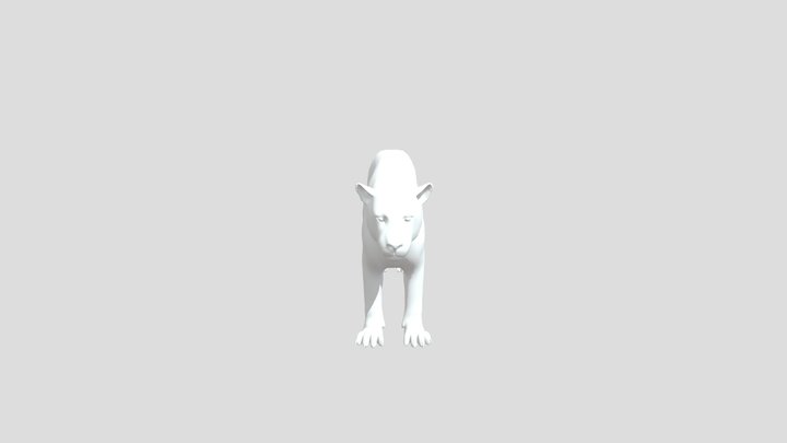 Leopard 3D Model