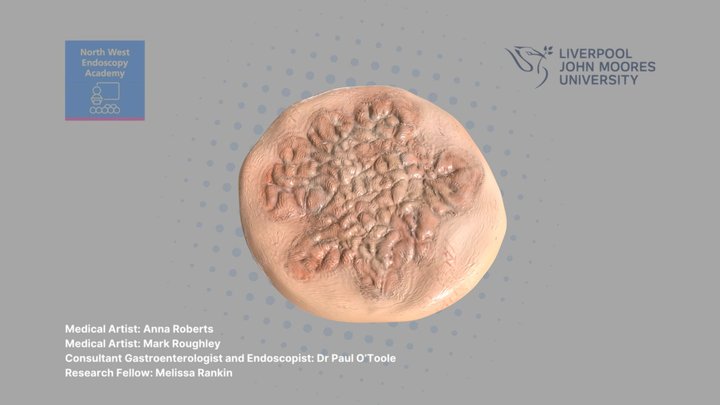 Lateral Spreading Type: Granular (Homogenous) © 3D Model