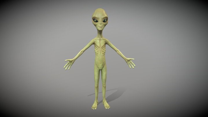 Alien P 3D Model