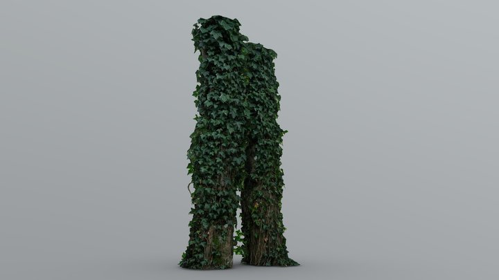 Tree duo - photogrammetry