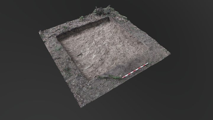 Alava`21 - Sondeo E 3D Model