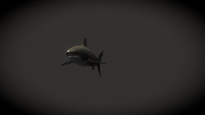 w 3D Model
