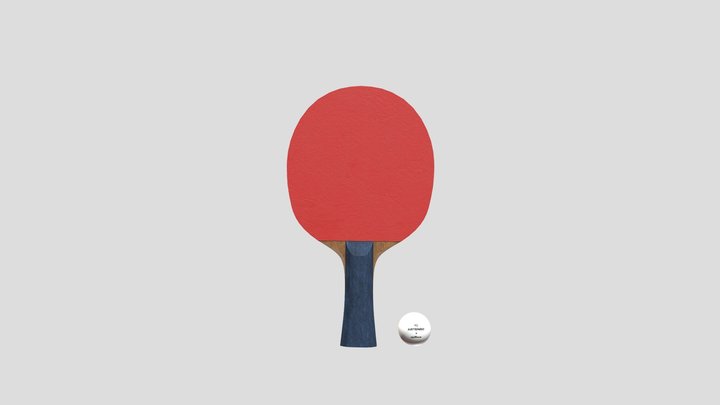 PingPong Paddle and Ball 3D Model