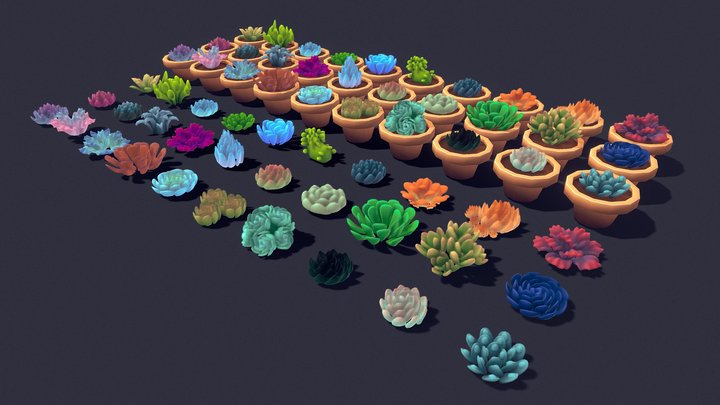 Succulent Plant Pack 01 3D Model