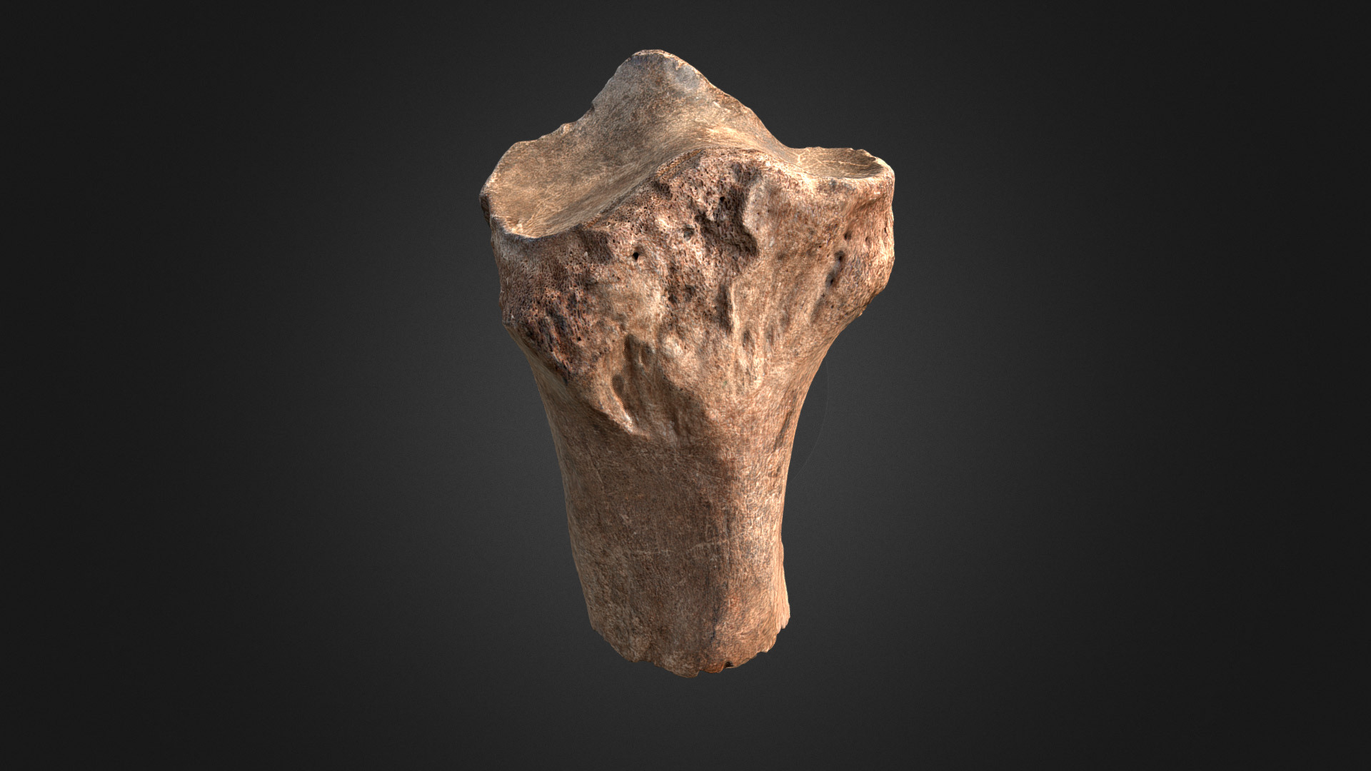 3D model Woolly Rhino Radius Half - This is a 3D model of the Woolly Rhino Radius Half. The 3D model is about a stone with a dark background.