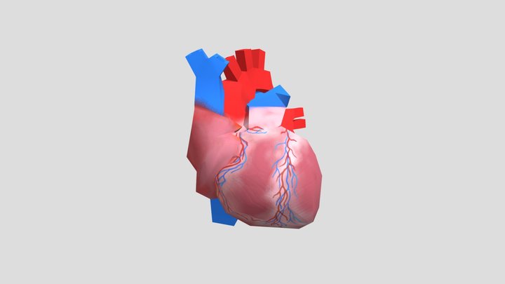 Heart Morph 3D Model