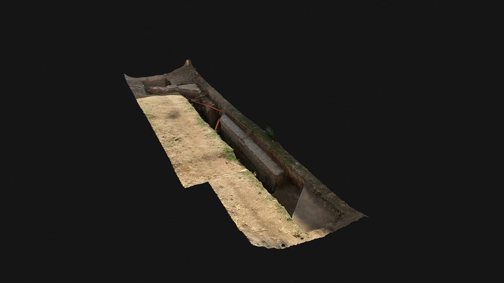 Rasgo 1 AVOII_010_SA 3D Model