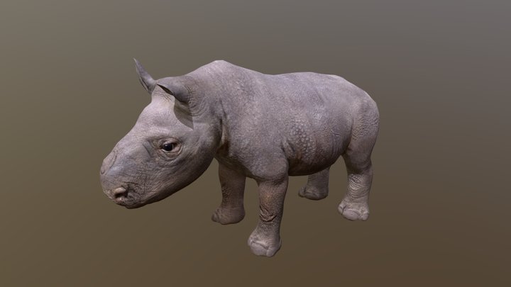 Baby Rhino – Free 3D Model STL