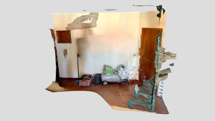 Polycam capture 3D Model