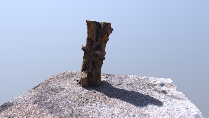 Tronco 3D Model