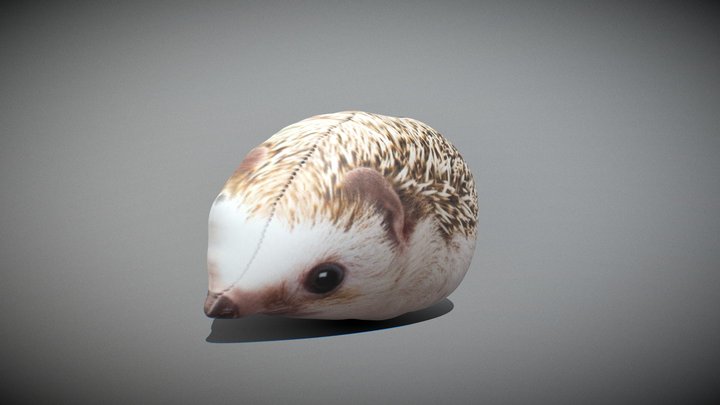 Bloptop 3D models - Sketchfab
