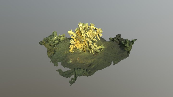 Glass Sponge 3D Model