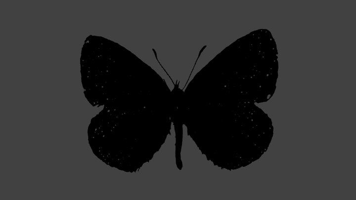 Celastrina Argiolus – Modello 3D gratuito STL
