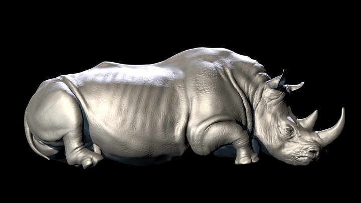 Sleeping Rhino 3D Model