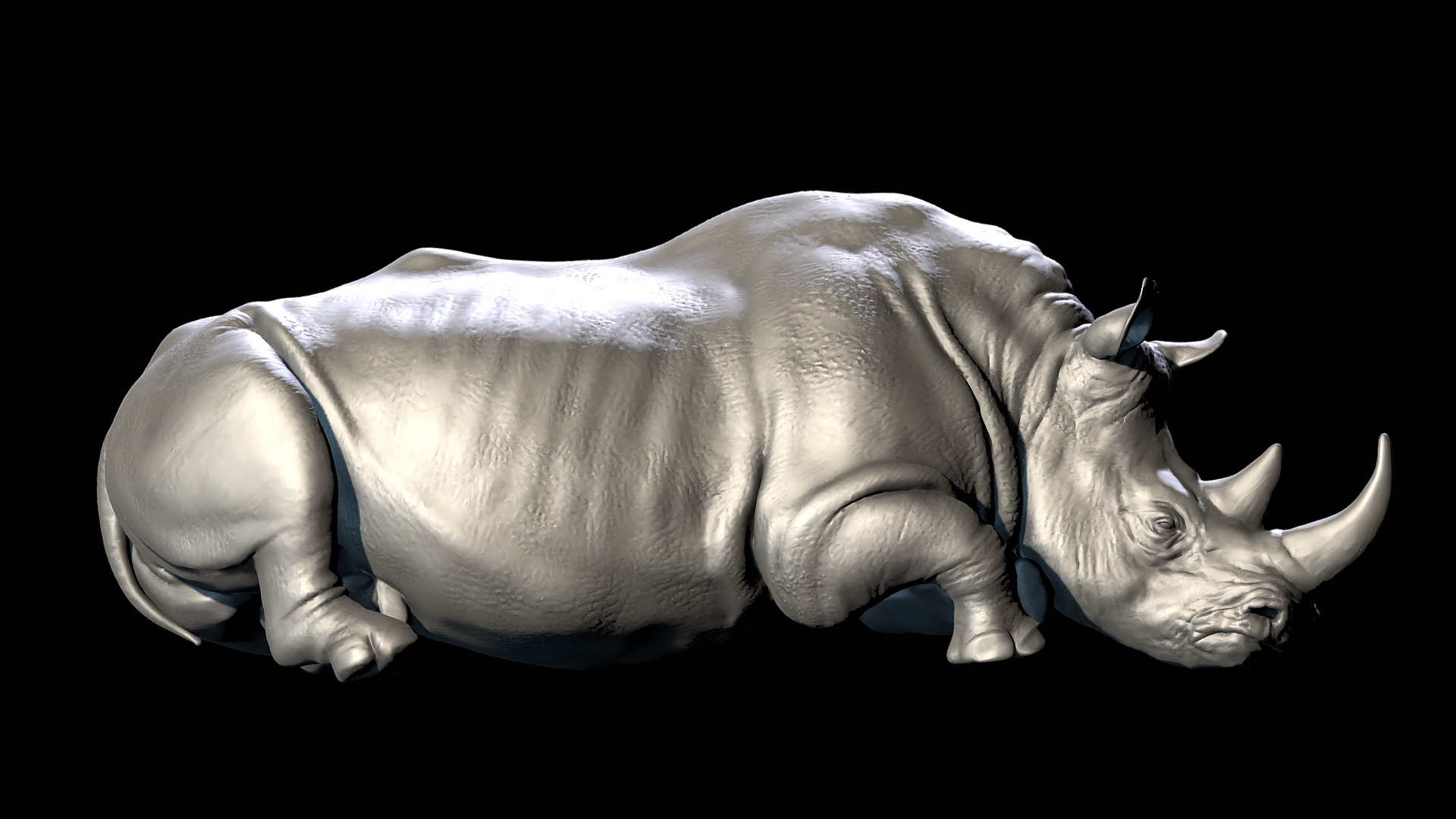Rhinoceros 3d Фомин