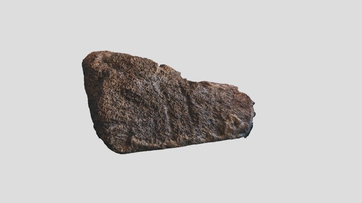 Chasmosaurus Skull Bone With Bites 3D Model