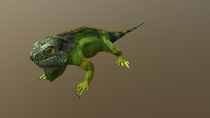 Green Iguana 3D Model
