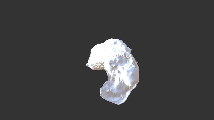 Zaedyus pichiy burrow V586zbrush 3D Model