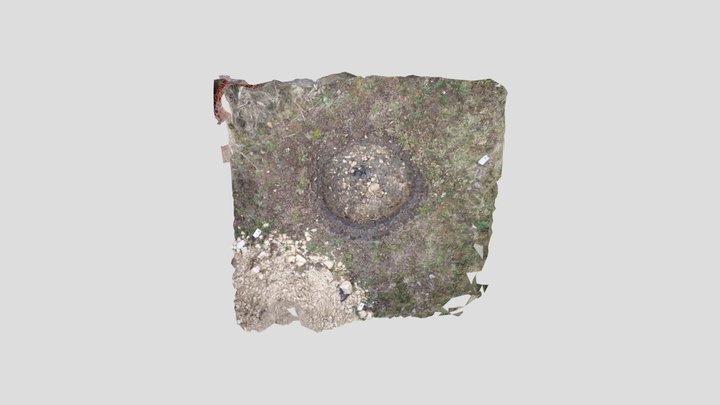 F01_2023_03_24 3D Model