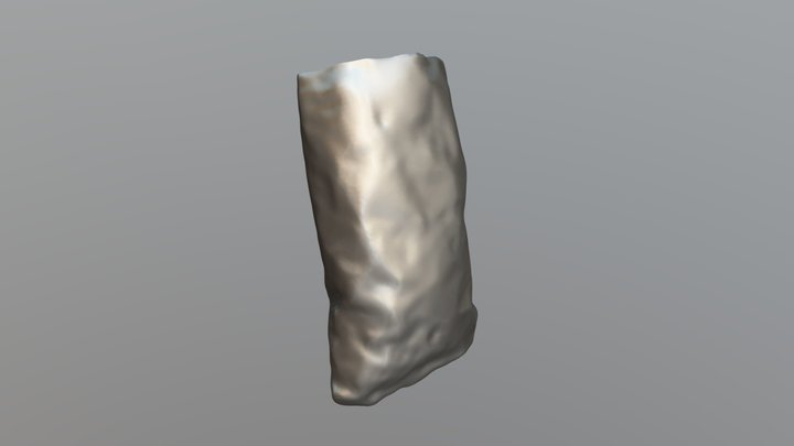 Tortilla Chip Bag 3D Model