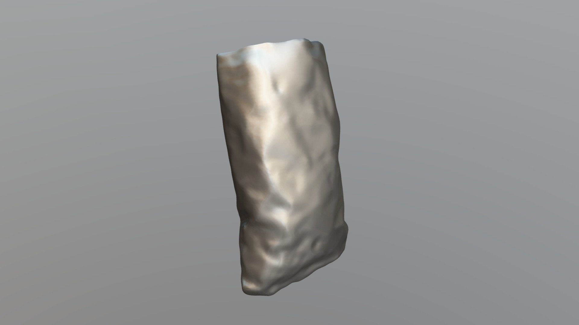Tortilla Chip Bag