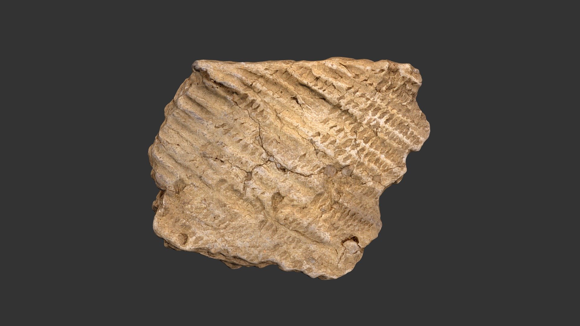 Vincent Fabric Impressed Rimsherd (619p1134)