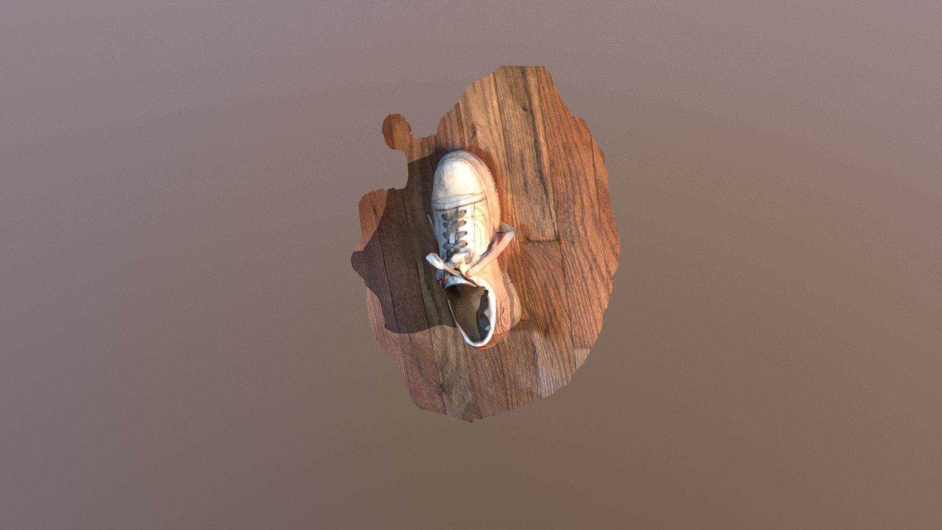 shoe