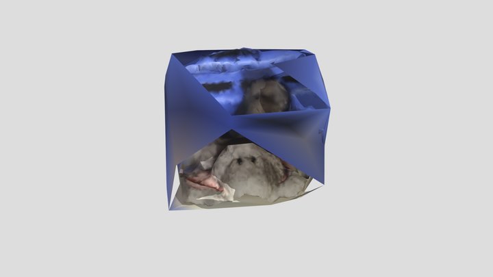MODELO 3D 3D Model