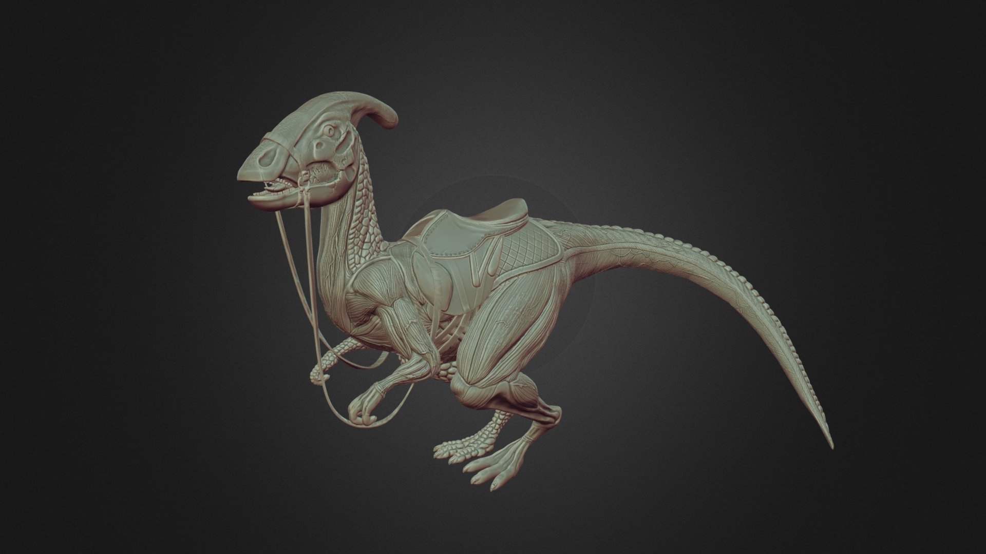 ArtStation - 3D Dino - Parasaurolophus