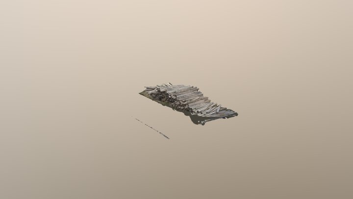 куча леса 3D Model