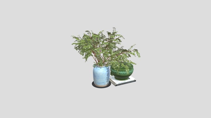 Vase Plant Pot