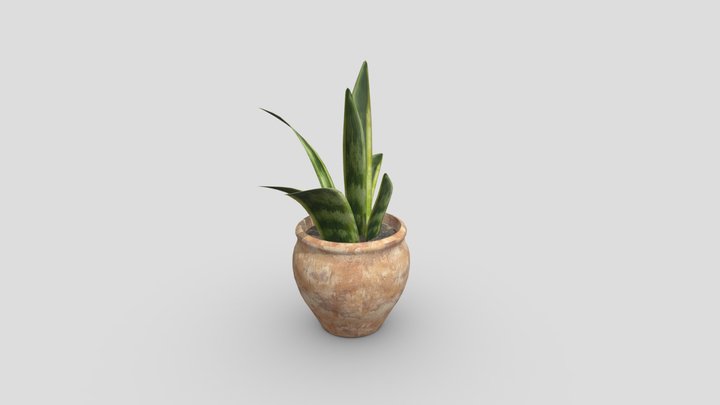 Snake Plant – Modelo 3D gratuito STL