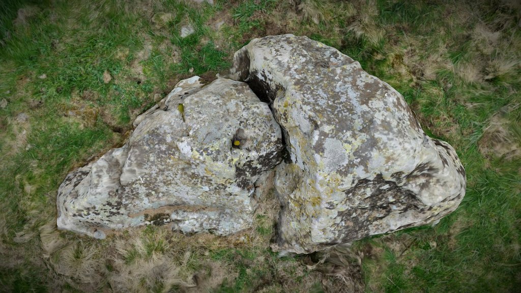 F118.09 - Cupmarked stone - Mölten