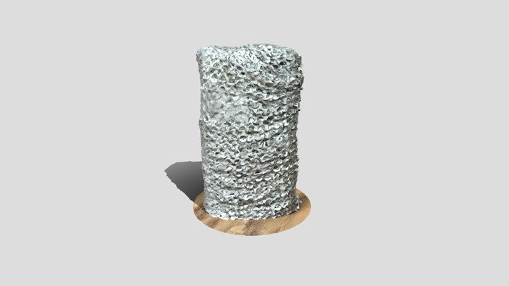 X 3D Model