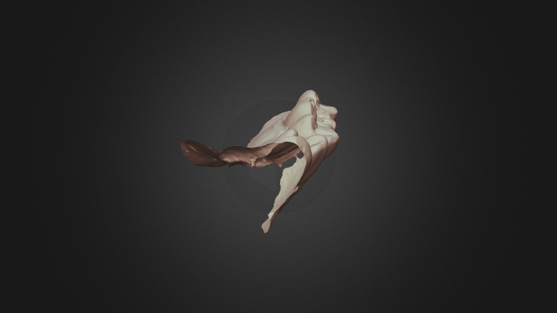 Group 11 Tooth 20 Fb Lower Jaw