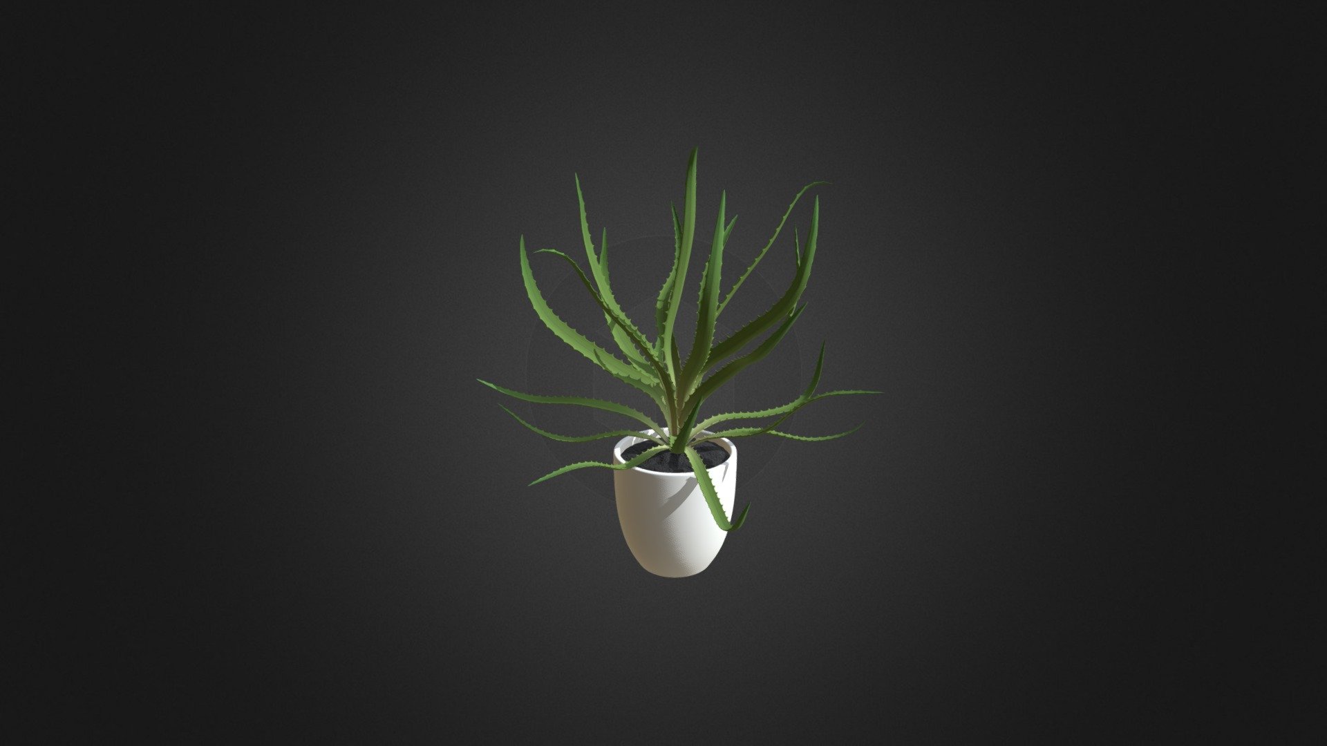 Aloe in White Pot — Sketchfab embed 3D viewer
