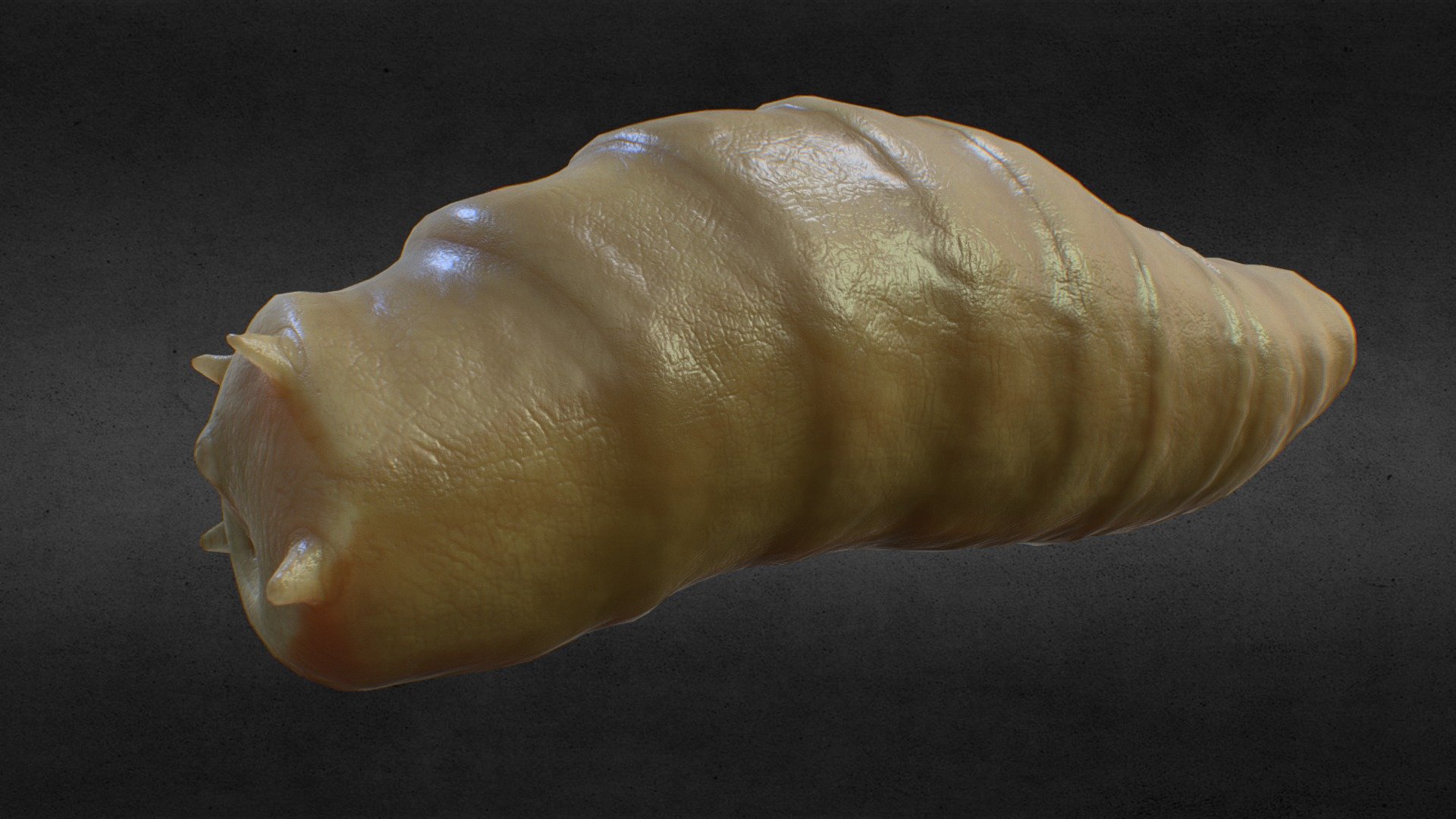 bug larvae
