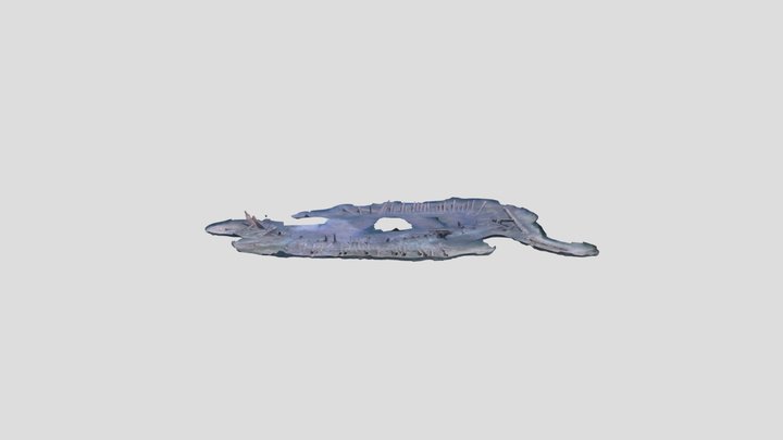 Shipwreck 3D Model