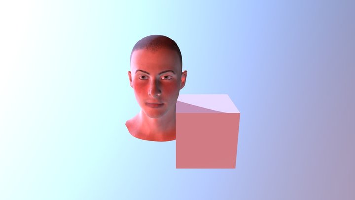 Test-animation-head1 0 3D Model