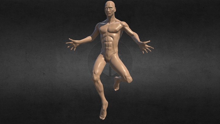 Human anatomy 3D Model