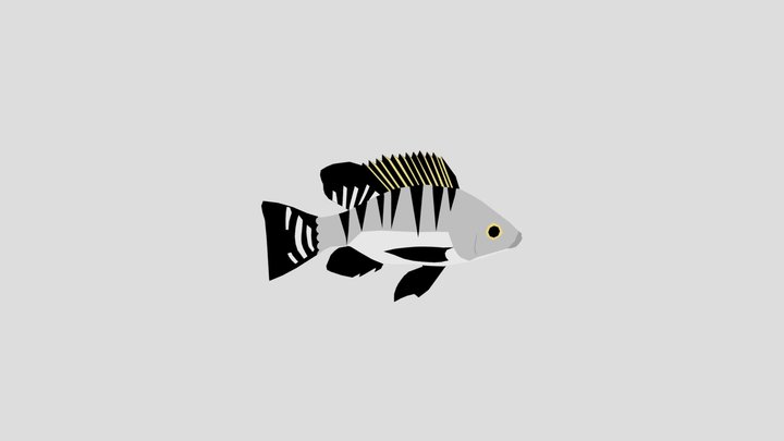 Nila Ikan 3D Model