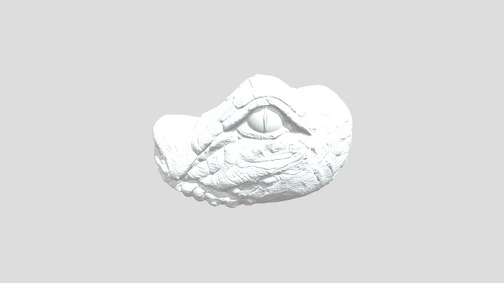 crocodile eye 3D Model