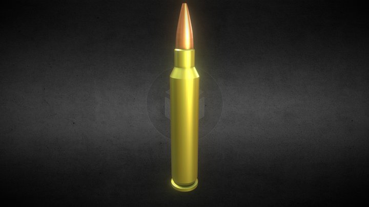 5.56 3D Model