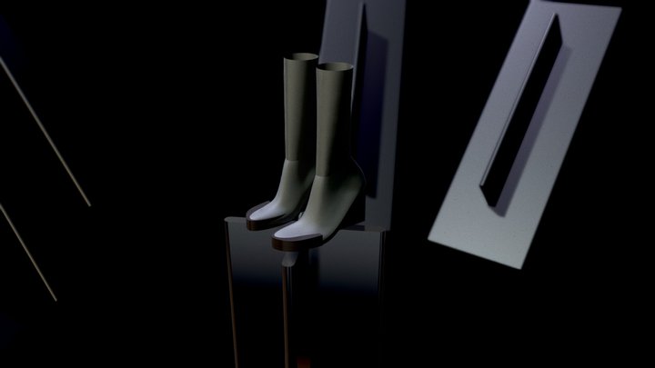 Shoe_1234 3D Model