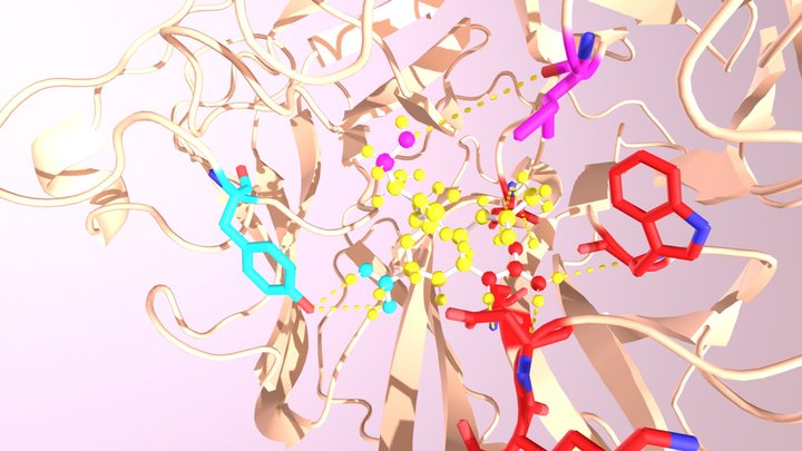 Laninamivir + Neuraminidase 3D Model