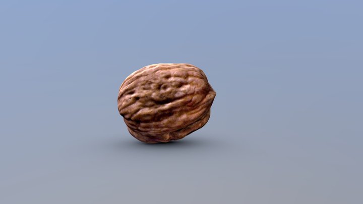 Walnut Model - Game Ready 3D Model